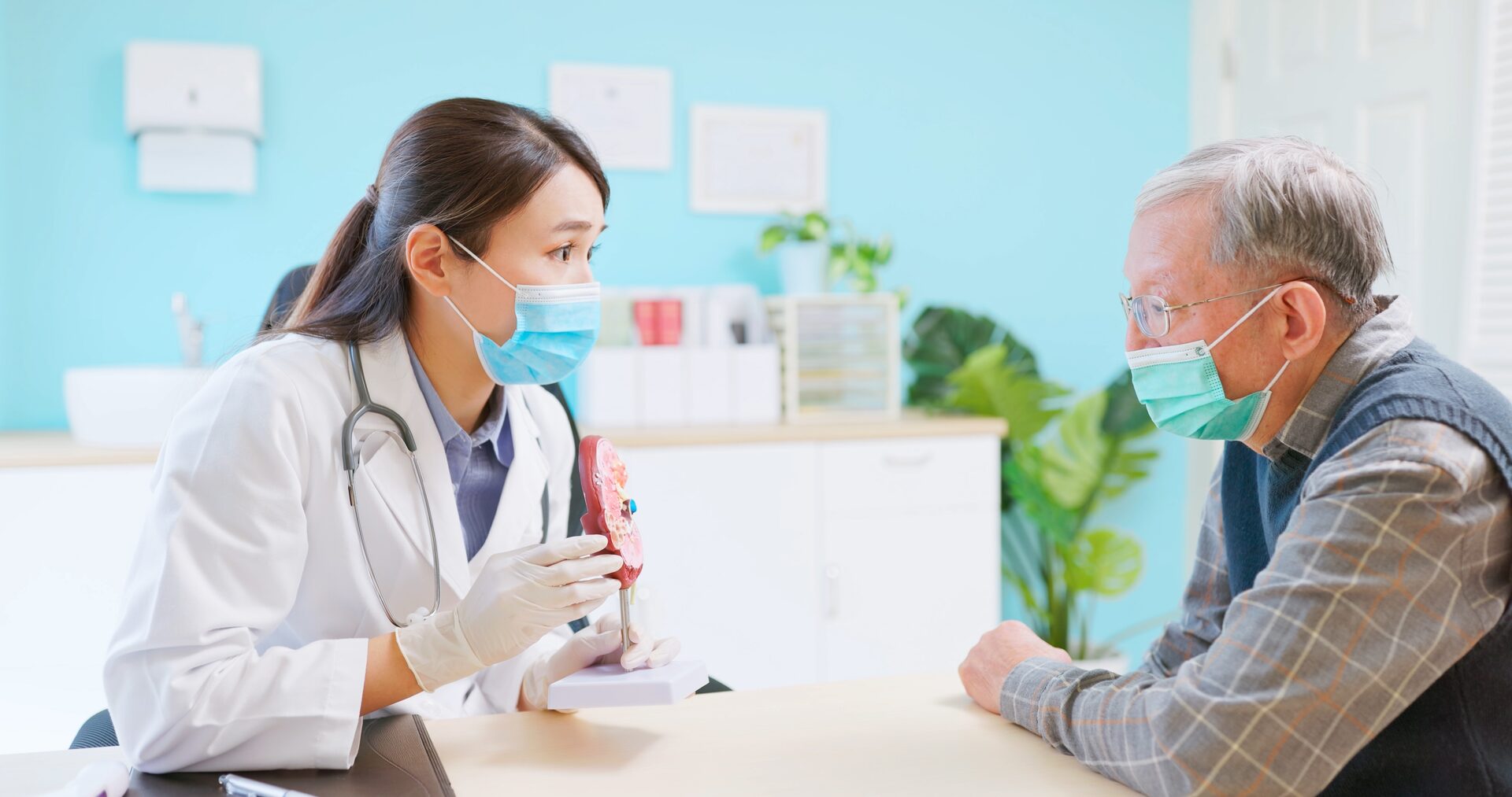 Female doctor explaining dialysis to an older man and holding a diagram of a kidney.